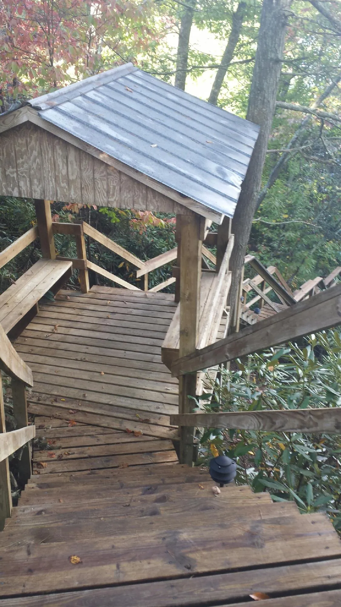 Metal roofed shelter over wooden steps on a wooded walkway — Skylight Repair & Installation work by our crew in Collinwood