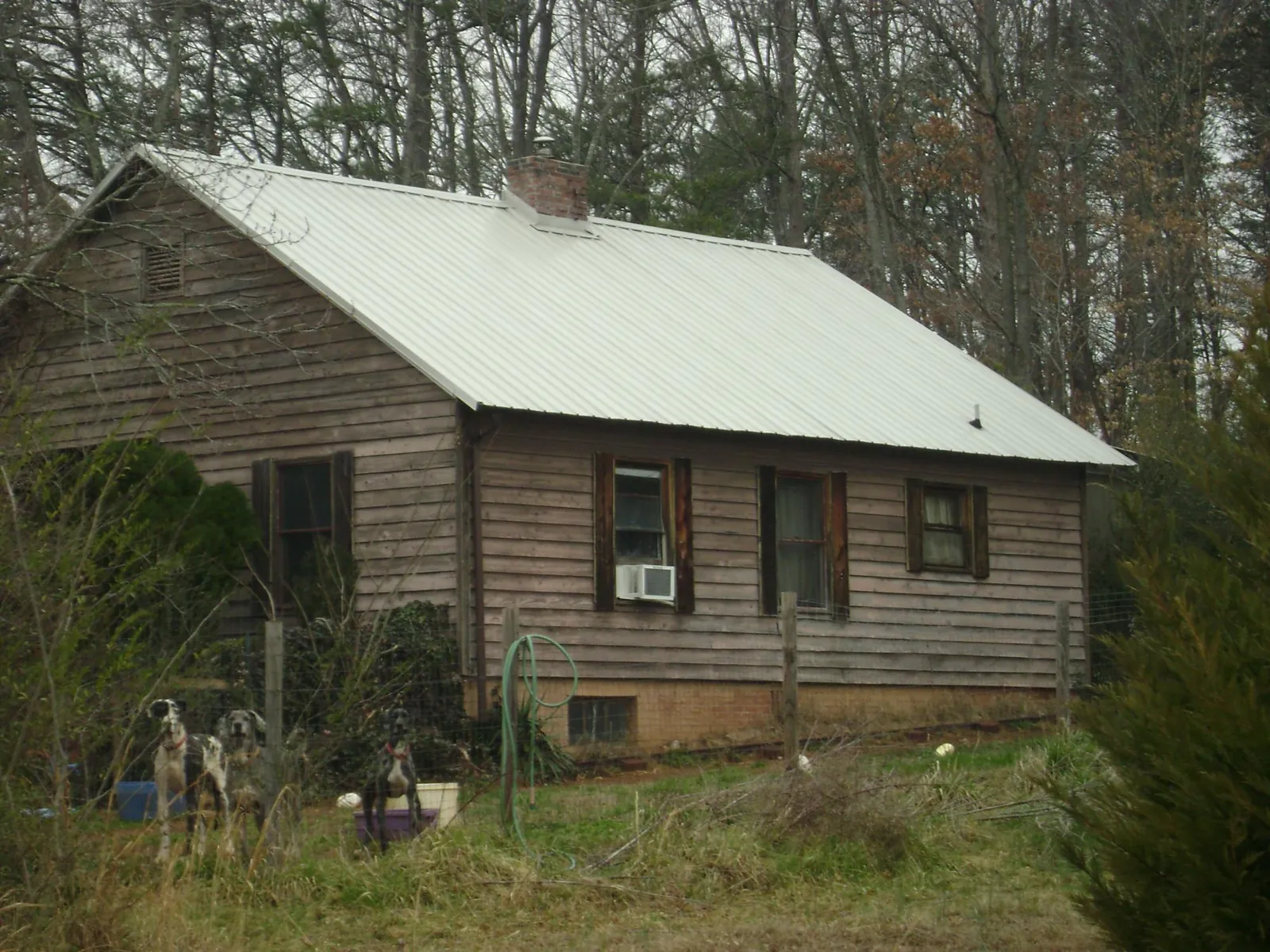 White metal roof on an old wood sided farmhouse, from a Metal Roof Installation job in Collinwood